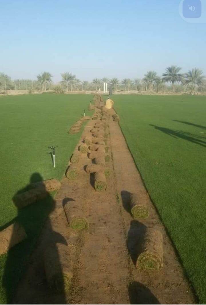 تجهيز التربة للزراعة